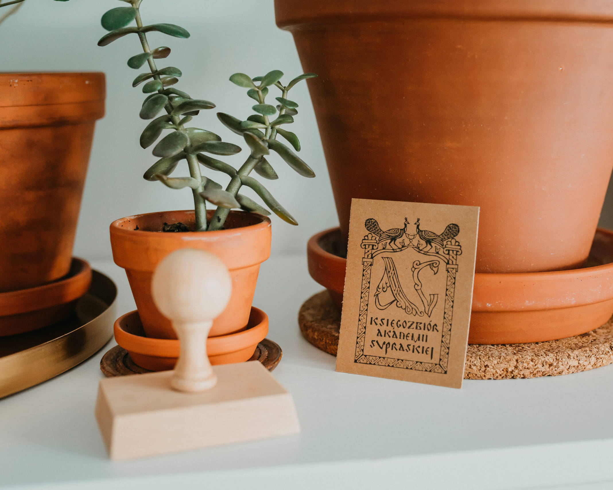 Gdzie Stawiac Ex Libris